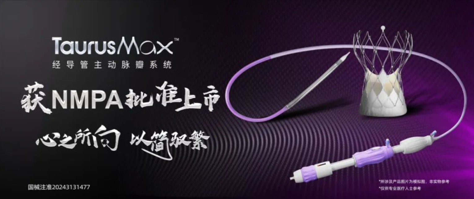 TaurusMax™经导管主动脉瓣系统