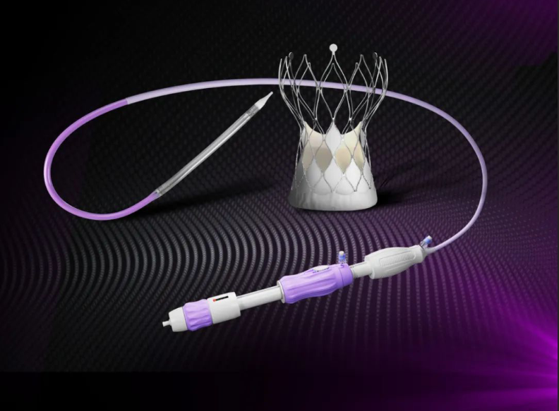 TaurusMax™ Transcatheter Aortic Valve System
