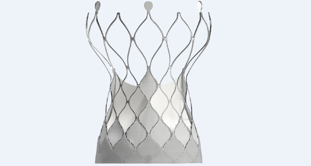 Regurgitation Application of TaurusNXTNon- glutaraldehyde Crosslinked Dry-tissue TAVRSystemAccepted by NMPA