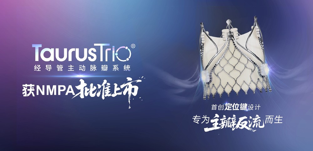 TaurusTrio®经导管主动脉瓣系统