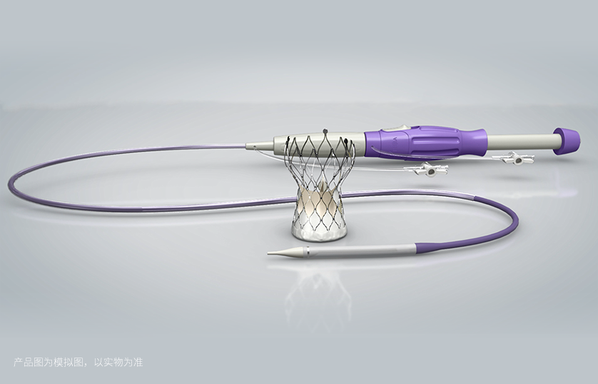 TaurusOne®经导管主动脉瓣系统