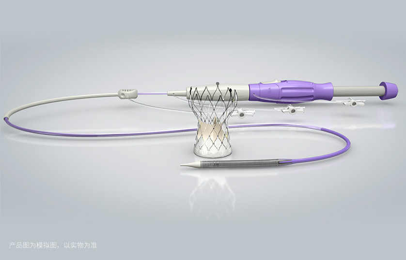 TaurusElite® 经导管主动脉瓣系统